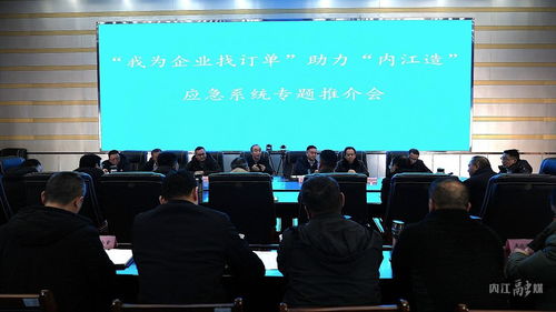 內江市應急管理局以信息技術咨詢服務為橋梁，助力“內江造”應急系統產品開拓市場