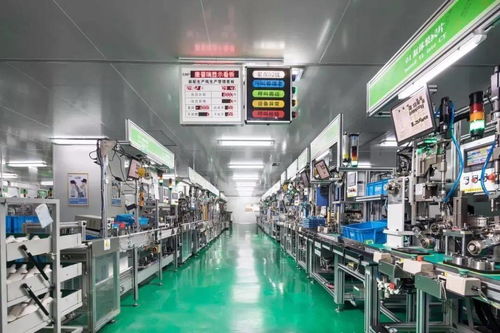 科技賦能，服務創優——區科技局深化信息技術咨詢服務新路徑